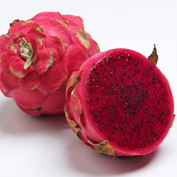 pitaya bio