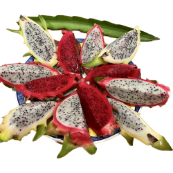 [category_name] natural