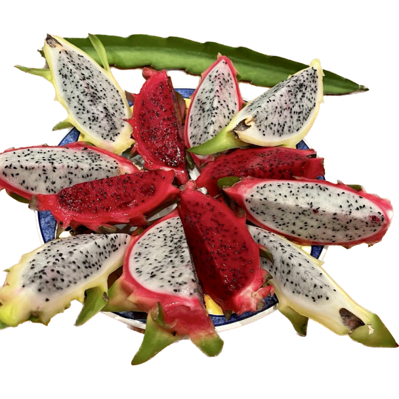 Frische [product_name]
