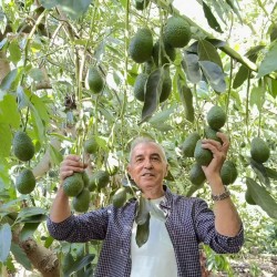 {product_name} directamente del agricultor - Quiero Naranjas