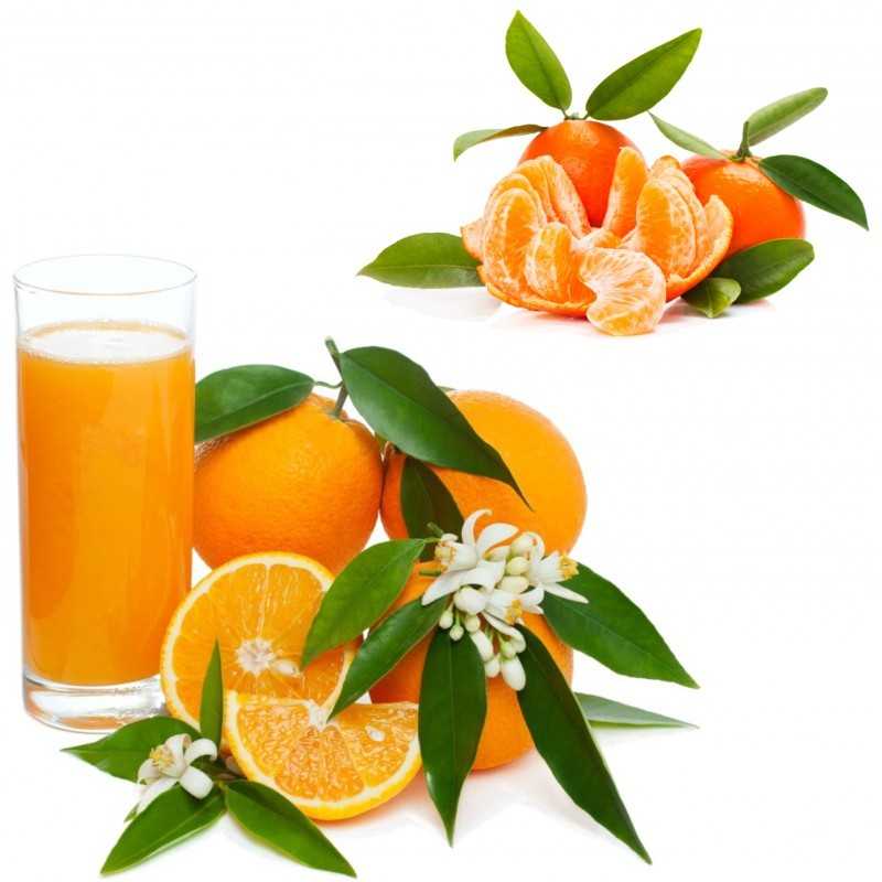 {product_name} directamente del agricultor - Quiero Naranjas