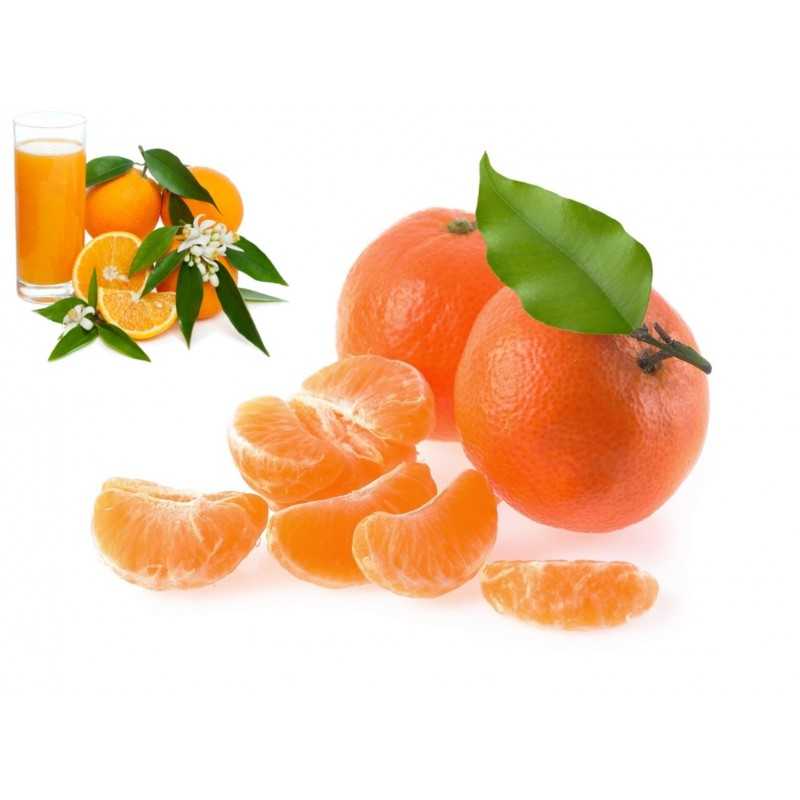 Fresh [product_name]