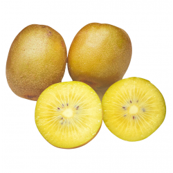 [category_name] aus Valencia