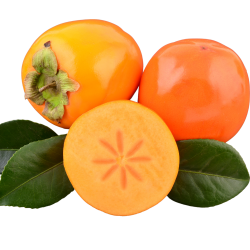Acheter Kakis Bio de Valence | Quieronaranjas – Comprar Naranjas y Mandarinas Ecológicas de Valencia