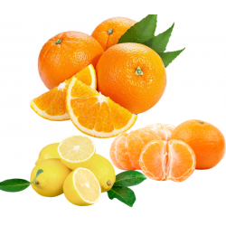 Comprar Pack Naranjas, Mandarinas y Limones ? | Quieronaranjas naturales | Quieronaranjas – Comprar Naranjas y Mandarinas Ecoló
