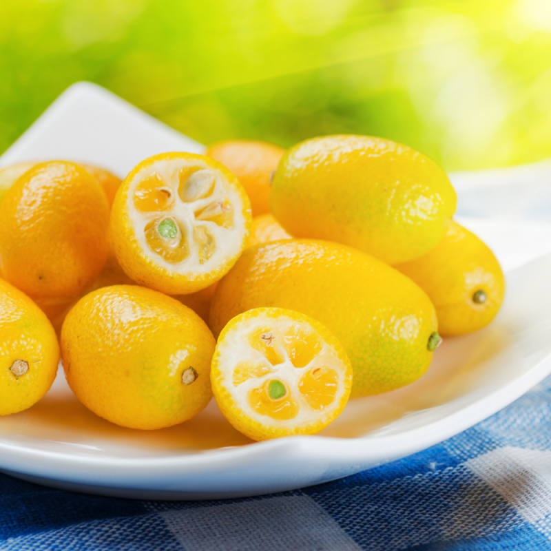 {product_name} directamente del agricultor - Quiero Naranjas
