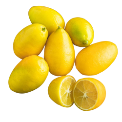 [category_name] frais