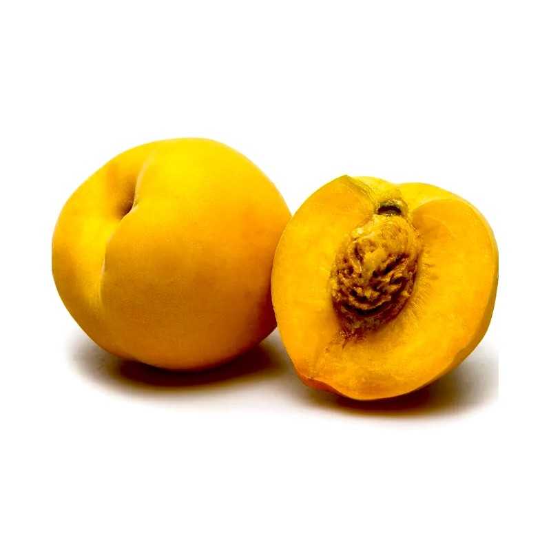 Fresh [product_name]