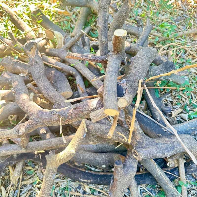 Fresh [product_name]