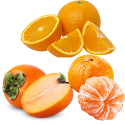 [category_name] frais