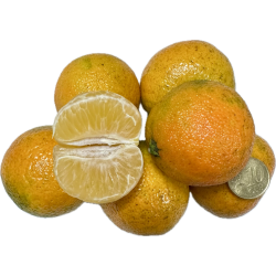 Frische [product_name]