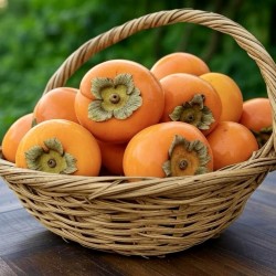[category_name] natural