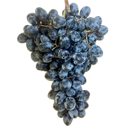 [category_name] frais