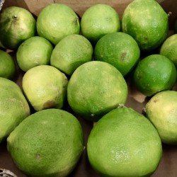 Comprar Bergamota Ecológica | Cítrico Natural y Aromático naturales | Quieronaranjas – Comprar Naranjas y Mandarinas Ecológicas