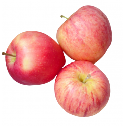 Manzanas bio