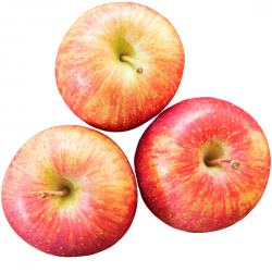 Frische [product_name]
