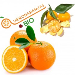 Naranjas Pequeñas y Mandarinas Ecológicas | QuieroNaranjas