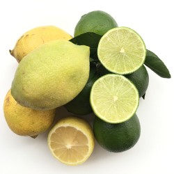 {product_name} directamente del agricultor - Quiero Naranjas {product_name} directamente del agricultor - Quiero Naranjas