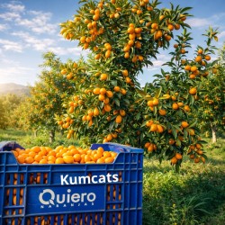 {product_name} directamente del agricultor - Quiero Naranjas {product_name} directamente del agricultor - Quiero Naranjas