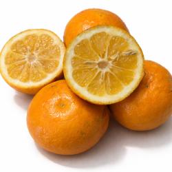 Comprar Naranja amarga ecológica para mermelada inglesa | Seville Orange Valencia naturales | Quieronaranjas – Comprar Naranjas
