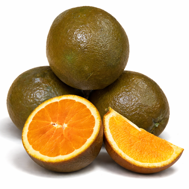 Frische [product_name]