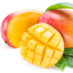 Fresh [product_name]