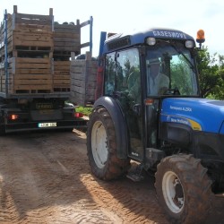 {product_name} directamente del agricultor - Quiero Naranjas {product_name} directamente del agricultor - Quiero Naranjas