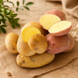 Frische [product_name]