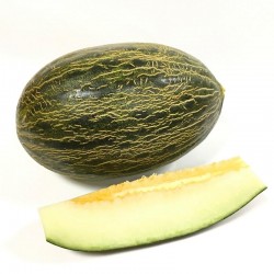 [category_name] from Spain