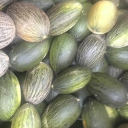 Gift 1 Melon Skin of toad, very sweet