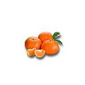 Comprar Mandarinas Ecológicas de Valencia – Directo del Agricultor