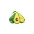 Buy Organic Avocados, Directly from the Farmer