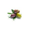 Aceitunas y Especias Ecológicas 🫒 | Compra Bio