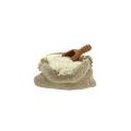 Buy Organic Rice from the Albufera of Valencia- Quieronaranjas