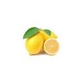 Buy Organic Lemons Online Directly from the Farmer