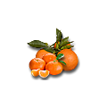 Comprar naranjas y mandarinas ecológicas de Valencia – directas del agricultor