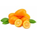Buy Organic Kumquats Fresh from the Tree to Your Table