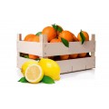 Citrus