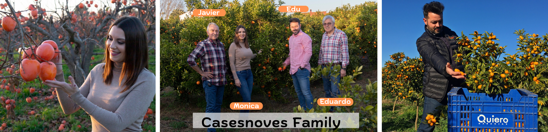 Meet the Casesnoves family, organic farmers who grow and ship citrus and seasonal fruits directly from Valencia